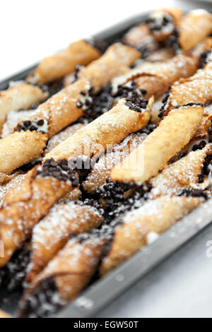 Frische Cannoli Tray Stockfoto