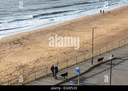 Leute, die ihre Hunde am Strand von Ramsgate Kent an einem Wintermorgen. Stockfoto