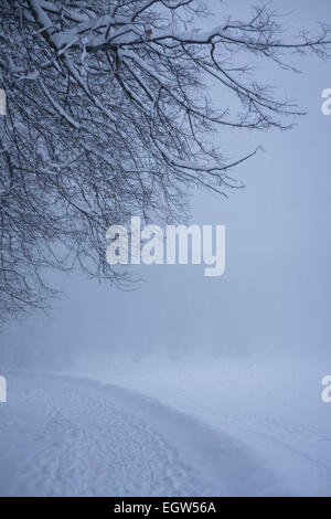 Den verschneiten Weg im Winter park Stockfoto