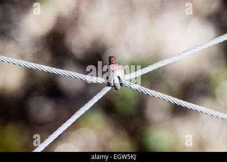 Single zusammen verrostete Schraube gemeinsame Holding vier Drähte gegen verschwommenen Hintergrund. Stockfoto