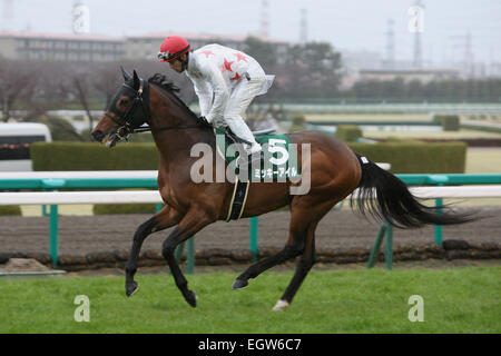 Hyogo, Japan. 1. März 2015. Mikki Isle (Suguru Hamanaka) Pferderennen: Mikki Isle geritten von Suguru Hamanaka vor der Hankyu Hai Hanshin Racecourse in Hyogo, Japan. © Eiichi Yamane/AFLO/Alamy Live-Nachrichten Stockfoto