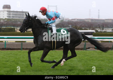 Hyogo, Japan. 1. März 2015. Robe Tissage (Kenichi Ikezoe) Pferderennen: Robe Tissage geritten von Kenichi Ikezoe vor der Hankyu Hai Hanshin Racecourse in Hyogo, Japan. © Eiichi Yamane/AFLO/Alamy Live-Nachrichten Stockfoto