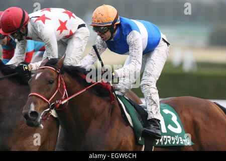 Hyogo, Japan. 1. März 2015. Daiwa Maggiore (Mirco Demuro) Pferderennen: Daiwa Maggiore geritten von Mirco Demuro gewinnt das Hankyu Hai Hanshin Racecourse in Hyogo, Japan. © Eiichi Yamane/AFLO/Alamy Live-Nachrichten Stockfoto