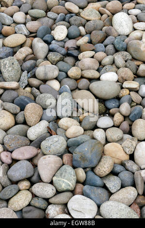 Mehrfarbige abgerundete Steine auf dem Boden liegend Stockfoto