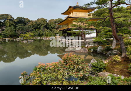 Die 14c Gärten des Kinkaku-JI Tempels (der Goldene Pavillon), Kyoto, Japan. Das ursprüngliche Tempelgebäude wurde 1950 niedergebrannt und 1955 wieder aufgebaut Stockfoto