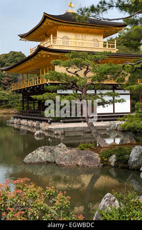 Die 14c Gärten des Kinkaku-JI Tempels (der Goldene Pavillon), Kyoto, Japan. Das ursprüngliche Tempelgebäude wurde 1950 niedergebrannt und 1955 wieder aufgebaut Stockfoto