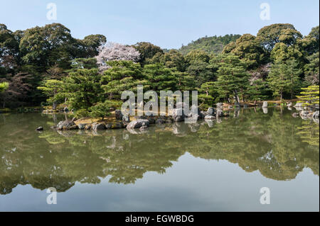 Die 14c Gärten des Kinkaku-JI Tempels (der Goldene Pavillon), Kyoto, Japan, im Frühling Stockfoto