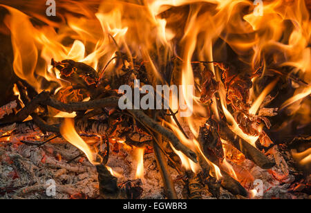 Nahaufnahme von Brennholz brennende Feuer im Kamin, horizontale erschossen Stockfoto
