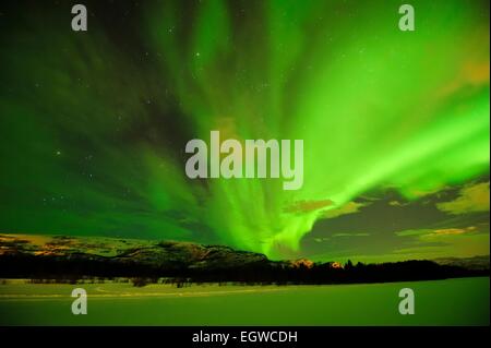 Nordlicht, Aurora Borealis, über den zugefrorenen Fluss Gammelbollo, Sorrisniva, Alta, Norwegen Stockfoto