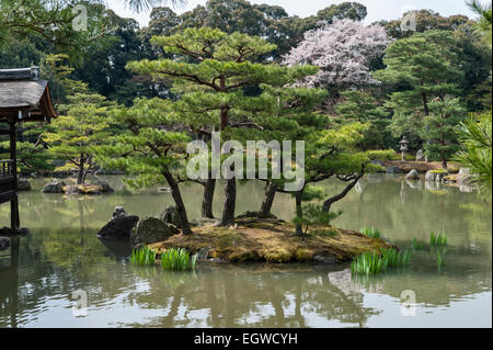 Frühling am Teich in den Gärten des buddhistischen Kinkaku-JI-Tempels, auch bekannt als der Goldene Pavillon (Kyoto, Japan) Stockfoto