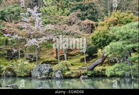 Frühling am See in den Zen-Buddhistischen Tempelgärten von Tenryu-JI, erbaut um 1345 (Kyoto, Japan) Stockfoto