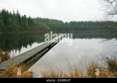 Baden Steg in einem kleinen See in der Nähe von Silkeborg, Dänemark Stockfoto