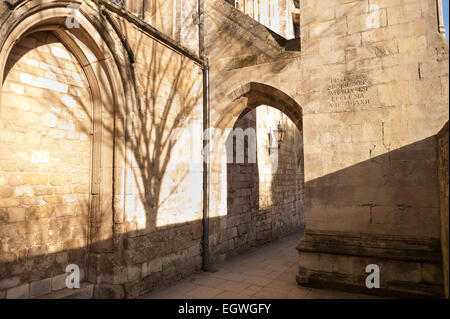 Schatten mit Baum und mittelalterlichen Torbogen der starken unterstützenden Schwibbogen mit einer gewölbten Durchgang unter Caen Stein Stockfoto