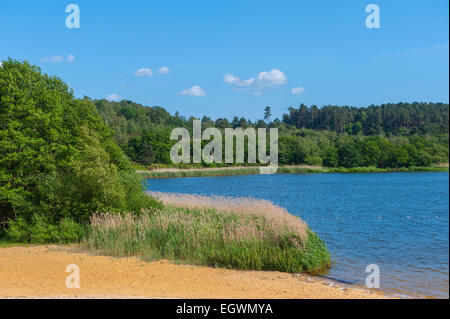 Frensham Teiche in der Nähe von Farnham, surrey Stockfoto