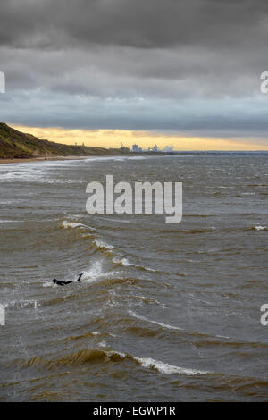 Einsamer Surfer Tritten in eine Welle an einem kalten Wintertag im Saltburn-by-the-Sea, North East UK mit einem Sonnenuntergang Himmel über Redcar fangen Stockfoto