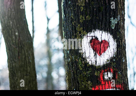 Herz gemalt auf dem Baum im Wald als ein Zeichen für den Wanderweg Stockfoto