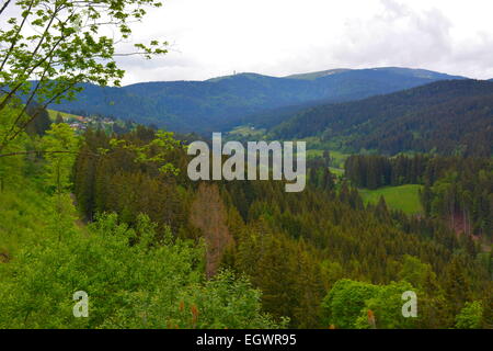 Schwarzwald, Baden-Württemberg, Hochschwarzwald Stockfoto