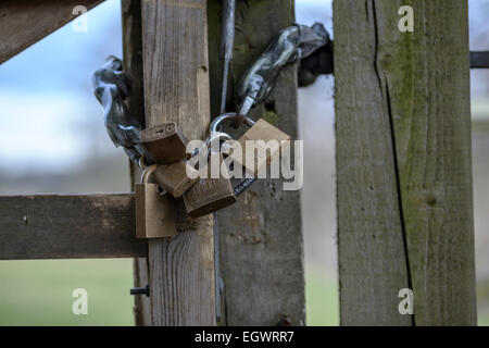 Sechs miteinander verbundene Schlösser mit integrierten Sperrmechanismen sichern ein hölzernes Tor gegen einen Zaunpfahl im ländlichen Königreich. Stockfoto