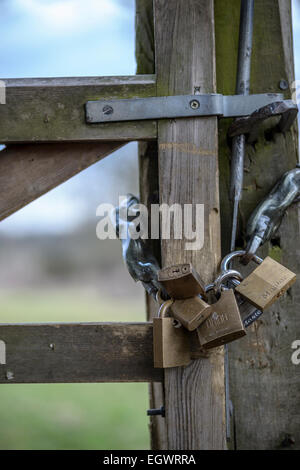 Sechs Vorhängeschlösser verbunden mit einer Kette, einem Holztor in ländlichen Gebieten Großbritanniens zu sichern. Stockfoto