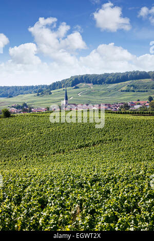 Chamery Dorf und Kirche mit Weinberge in der Champagne, Frankreich, Europa im Sommer Stockfoto