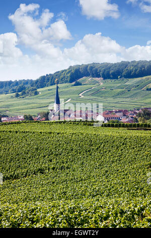 Weinberge und französischen Dorf von Chamery in die Berge Regionalpark Reims, Champagne, Frankreich Stockfoto