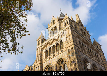 Natural History Museum Gebäude außen, London, England, UK Stockfoto