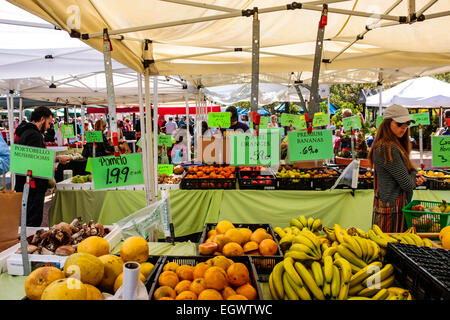 Obst und Gemüse zum Verkauf an der Sarasota Bauernmarkt am Samstag Morgen pro Woche Stockfoto