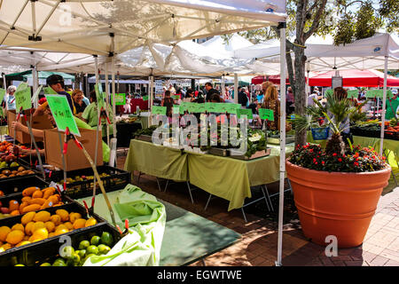 Obst und Gemüse zum Verkauf an der Sarasota Bauernmarkt am Samstag Morgen pro Woche Stockfoto