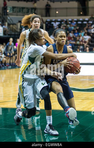 2. März 2015 - Tampa, FL, USA-South Florida Bulls bewachen Shalethia Stringfield #23 Verteidigung Connecticut Huskies Wache Moriah Jefferson #4 im Spiel zwischen UCONN und USF USF Sun Dome in Tampa FL. Stockfoto