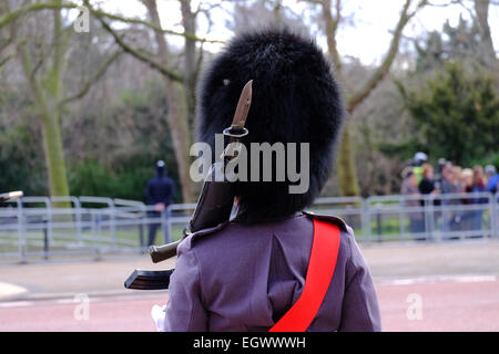 London, UK. 3. März 2015. Bärenfell und Bajonett. Bildnachweis: Rachel Megawhat/Alamy Live-Nachrichten Stockfoto