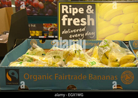 Bio-Lebensmittel Fairtrade reif frisch Bananen in Boxen auf Regalen angezeigt Obst zum Verkauf innen große Tesco Lebensmittel Supermarkt Store London England Großbritannien Stockfoto