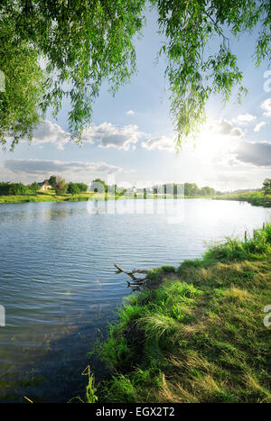 Green Grass in der Nähe von ruhiger Fluss im Sommer Stockfoto