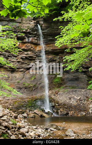 Hardraw Kraft, Wensleydale, Yorkshire Dales Stockfoto