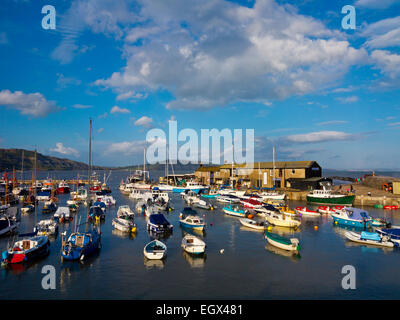 Kleine Boote im Hafen von Lyme Regis ein Fischerhafen und Meer an der Jurassic Coast in Dorset Resort Süd-West England UK Stockfoto