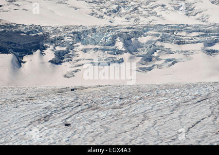 Touristen auf dem Athabasca-Gletscher, Jasper Nationalpark, Alberta, Kanada Stockfoto