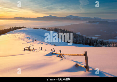 Schnee Berg, Schnee bedeckten Baum leuchtet gelbes Licht der Morgensonne Stockfoto