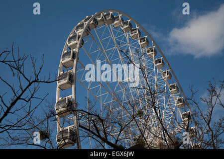 Budapest-Eye Riesenrad Stockfoto