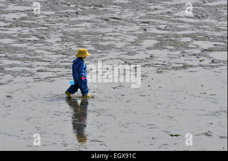 Kinder erkunden das Wattenmeer von Cordova Bay bei niedrigen Gezeiten Cordova Bay (Victoria) BC Kanada Stockfoto