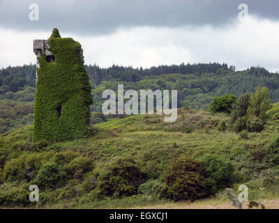 O' Mahoney Burg Rineen, West Cork, Irland Stockfoto
