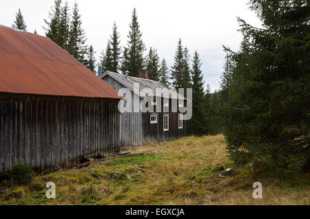 Alten verlassenen Bauernhof mitten in Norwegen Stockfoto