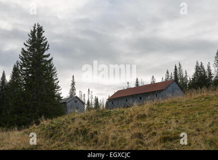 Alten verlassenen Bauernhof mitten in Norwegen Stockfoto