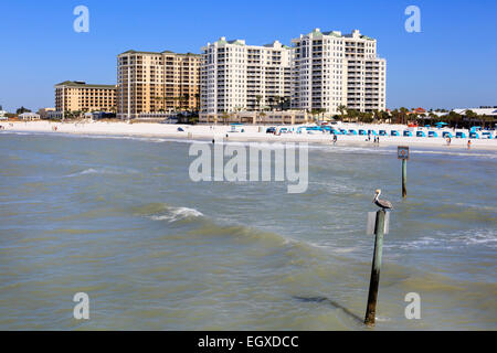 Strand von Clearwater, Florida, Amerika, mit Hotels und Eigentumswohnungen Stockfoto