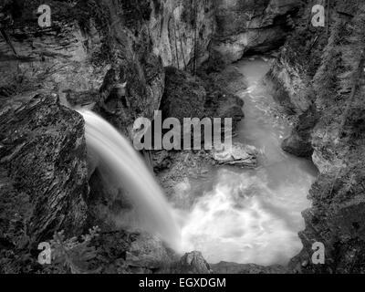 Stanely fällt, Schönheit Creek, Jasper Nationalpark, Aberta Kanada Stockfoto