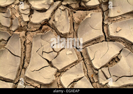 Rissig, getrockneten Schlamm auf dem Boden einer durchlässigen Seegrund Stockfoto