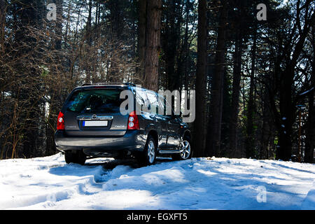 Rückseite des Mazda Tribute Sport Utiliy Fahrzeug im Bergwald im Winterschnee Stockfoto