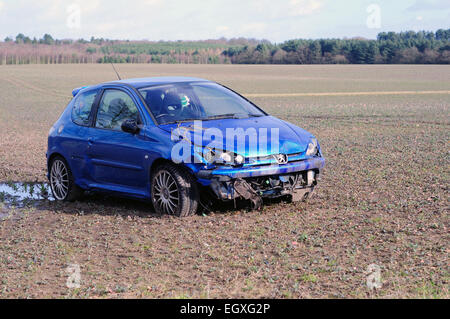 Auto stürzte durch Hecke im landwirtschaftlichen Bereich. Stockfoto