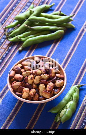 Geröstete Bohnen (lat. Vicia Faba) gegessen als Snack in Bolivien in Schüssel mit frischen Bohnen Schoten auf der Seite und hinten Stockfoto