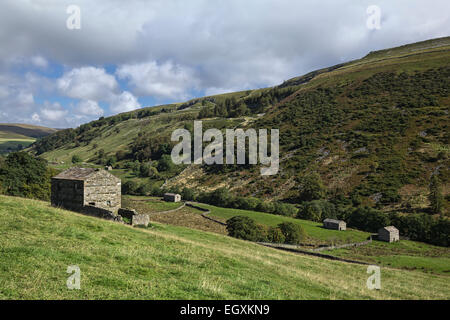 Stein Scheunen und Trockenmauern in der Nähe von Muker, Swaledale Stockfoto