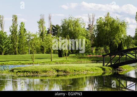 Kleine Brücke über ein Teich und landen auf einer kleinen Rasen Insel Stockfoto