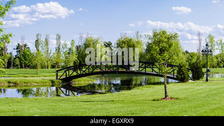 Kleine Brücke über ein Teich und landen auf einer kleinen Rasen Insel Stockfoto